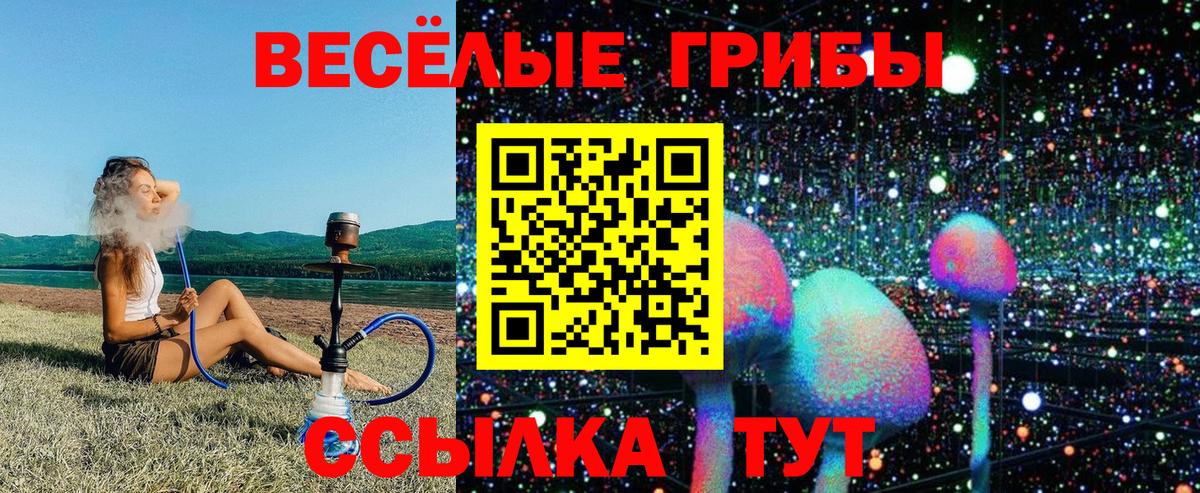 Псилоцибиновые грибы Psilocybine cubensis Всеволожск