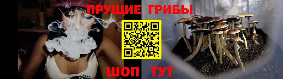 Галлюциногенные грибы MAGIC MUSHROOMS  Вход с VPN  Галлюциногенные грибы MAGIC MUSHROOMS  Всеволожск 